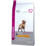 Eukanuba Golden Retriever 2 x 12 kg – Hledejceny.cz