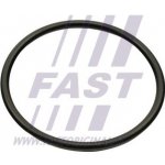 FT49460 FAST Těsnění, koleno sacího potrubí | Zboží Auto