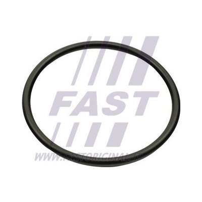 FT49460 FAST Těsnění, koleno sacího potrubí | Zboží Auto