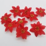 Vánoční hvězda malá červená – Zboží Dáma