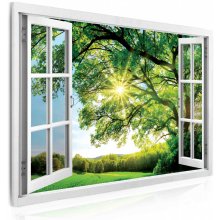 Malvis Obraz okno obrovský strom 90x60 cm