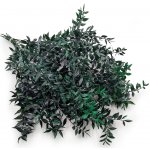 mech-mech.cz Stabilizovaný Ruskus - (Ruscus) - tmavě zelený – Sleviste.cz