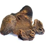 Salvia Paradise Cola acuminata celý kolový ořech 500 g – Zbozi.Blesk.cz