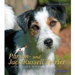 Parson- und Jack Russel Terrier – Hledejceny.cz