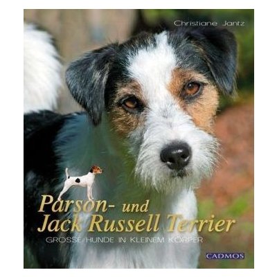 Parson- und Jack Russel Terrier – Hledejceny.cz