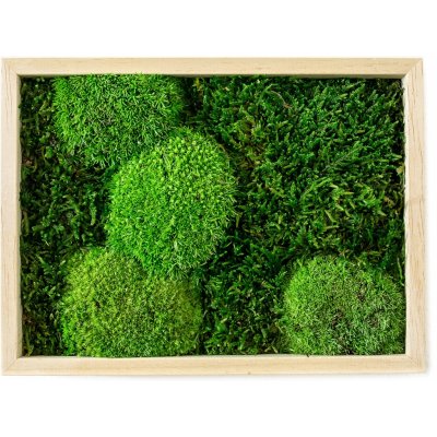 Gardners Mechový obraz 13x18 cm kombinovaný mech kopečkový s plochým, přírodní – Zboží Mobilmania