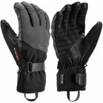 Leki Pegas Pro 3D GTX black-graphite – Zboží Mobilmania