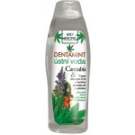 BC Bione Cosmetics Dentamint ústní voda Cannabis 500 ml – Hledejceny.cz