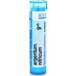 ARGENTUM NITRICUM POR 9CH GRA 1X4G – Hledejceny.cz