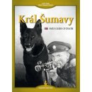 Král Šumavy DVD