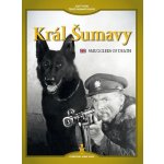 Král Šumavy DVD – Hledejceny.cz