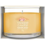 Yankee Candle Slopeside Spritz 37 g – Zboží Dáma