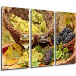 Obraz 3D třídílný - 105 x 70 cm - Wine and Grapes in the Vineyard Víno a hrozny na Vinici – Hledejceny.cz