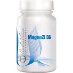 CaliVita magnezi B6 90 tablet – Hledejceny.cz