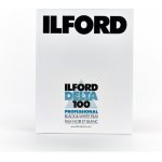Ilford Delta 100 4x5" /100 – Hledejceny.cz