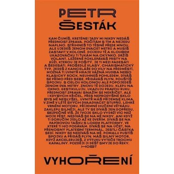 Vyhoření - Petr Šesták