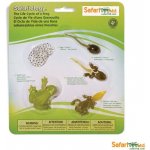 Safari Ltd. Životní cyklus Žába – Zboží Mobilmania