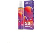 Ritchy Liqua Mix&Go Berry Mix 12 ml – Zboží Dáma