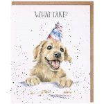 Narozeninové přání Wrendale Designs "What Cake?" - Pejsek – Hledejceny.cz