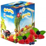 Ovocňák mošt z lesního ovoce 5L – Hledejceny.cz