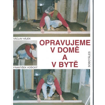 Opravujeme v domě a v bytě - Václav Hájek