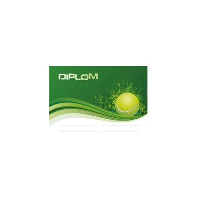 Diplom DP0013