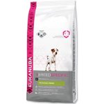 Eukanuba Jack Russell 2 kg – Hledejceny.cz