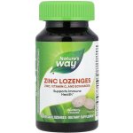 Nature's Way Zinc lozenges příchuť lesní ovoce 60 veganských pastilek – Hledejceny.cz