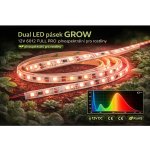 T-LED 078081 – Zboží Dáma