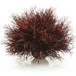 BiOrb Sea lilies karmínová 11 cm – Hledejceny.cz