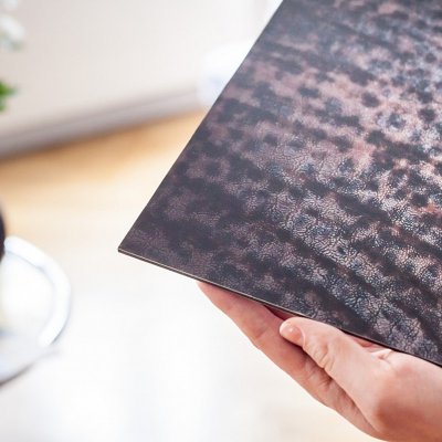 FotoŠkoda Foto na hliníkové desce – Zboží Dáma