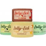 HIPPOTONIC Lolly Lick apple 0,7 kg – Hledejceny.cz