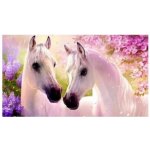 SMT Creatoys Diamantový obrázek 30 x 40 cm Zamilovaní koně 1004947 – Hledejceny.cz