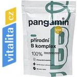 Pangamin přírodní B komplex tablet 120 – Hledejceny.cz