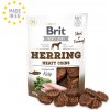 Pamlsek pro psa Brit Jerky Herring Meaty Coins 80 g