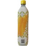 OLITALIA Kukuřičný olej 1 L – Zboží Dáma