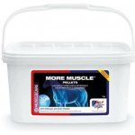 EQUINE AMERICA More Muscle Pellets 3 kg – Hledejceny.cz