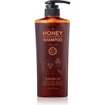 Daeng Gi Meo Ri Honey Therapy Shampoo 500 ml – Zboží Mobilmania