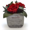 Květina Ina DARK Red - červená (3x stabilizovaná "věčná" růže v betonovém květináčku)