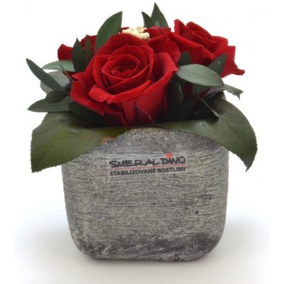 Ina DARK Red - červená (3x stabilizovaná "věčná" růže v betonovém květináčku)
