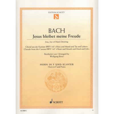 Bach Jesus bleibet meine Freude Jesu, Joy of Man's Desiring BWV 147 lesní roh a klavír – Zboží Mobilmania