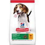 Hill’s Science Plan Puppy Medium Chicken 2,5 kg – Hledejceny.cz