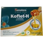 Himalaya Koflet H Ginger 12 pastilek – Hledejceny.cz