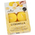 Steinhart Vonné čajové svíčky Citronela náplň pr. 3,8 x 1,7 cm, 6 ks – Zboží Mobilmania