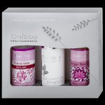 Saloos Anti-Age & Hydratace pleti 100% Bio růžová voda 50 ml + Hyaluronové sérum 50 ml + Argan Revital hydrofilní odličovací olej 50 ml dárková sada – Zboží Mobilmania
