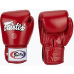 Fairtex BGV1 – Sleviste.cz