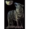 Škrábací  obrázek Seškrabovací obrázek mini Hologramický Osamělý vlk