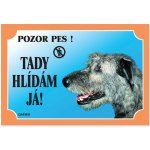 Dafiko Tabulka Irský vlkodav – Hledejceny.cz