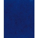 Antares Panther – Zboží Živě