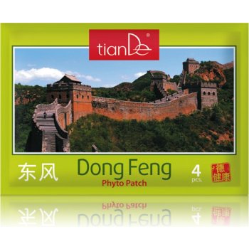 TianDe Fytonáplast Dong Feng 4 ks 30119